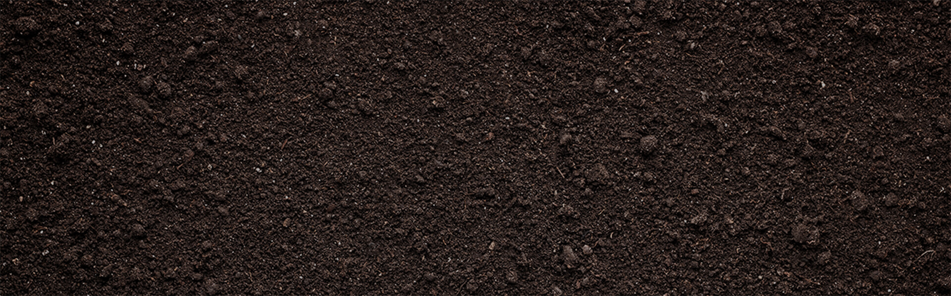 Top Soil Suppliers